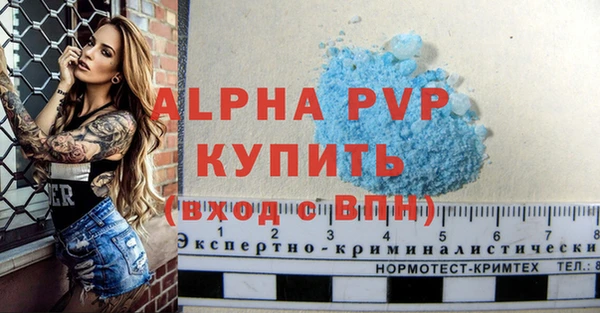 стафф Арсеньев