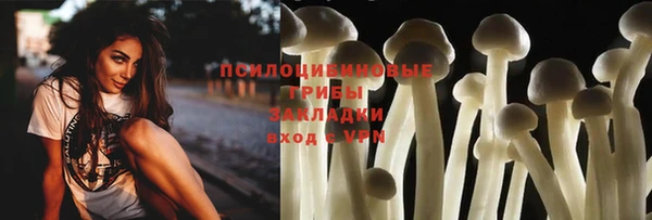 дживик Армянск